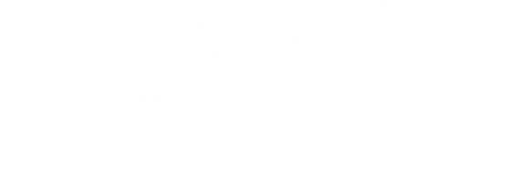 veraspecialll